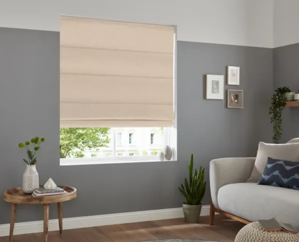 Roman Shades - Image 3